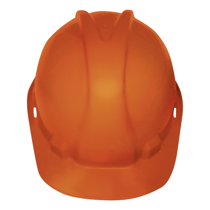 302350-WA0001-720239